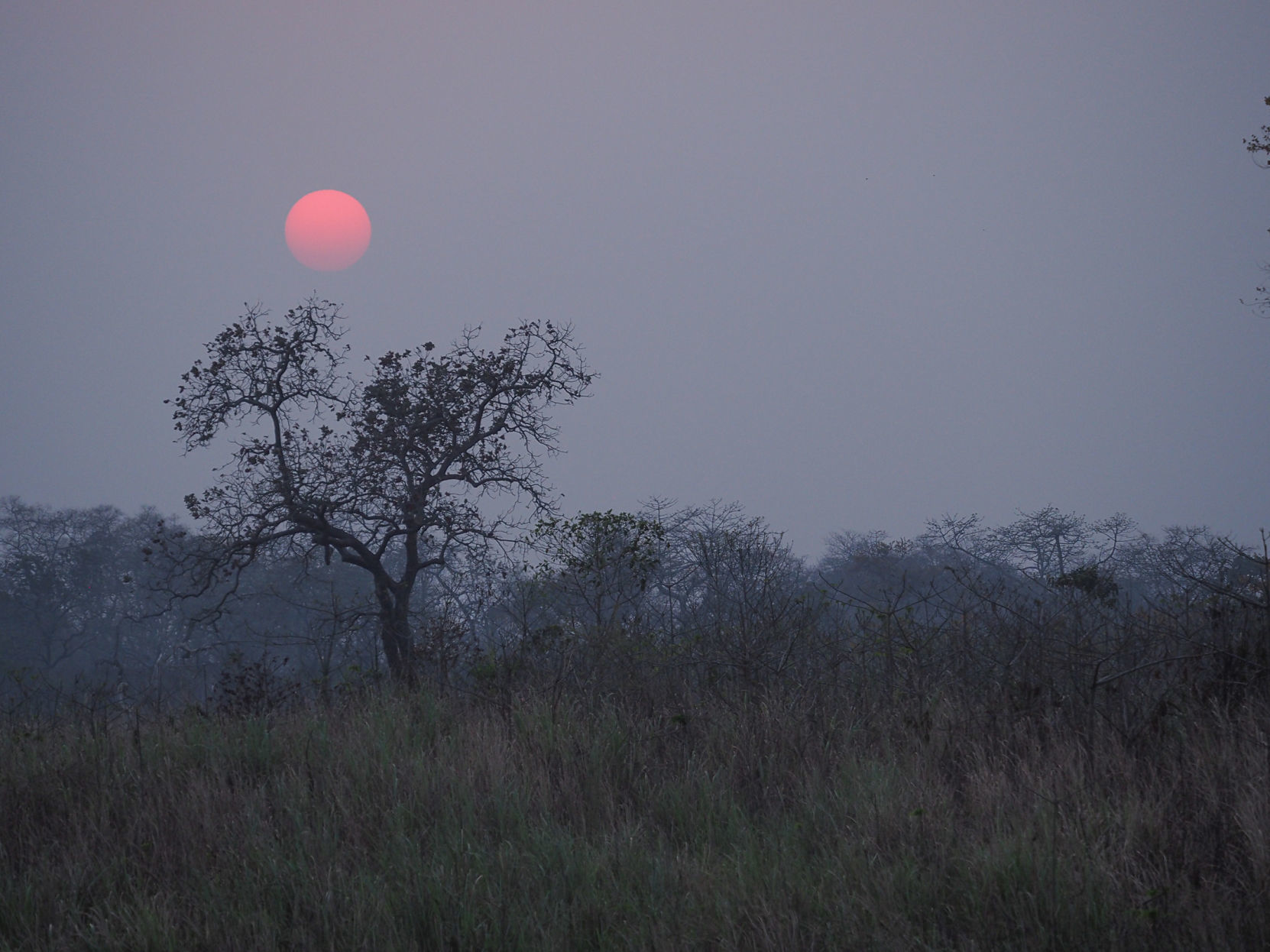 In India the sun doesn't set -- it just fades into the pollution